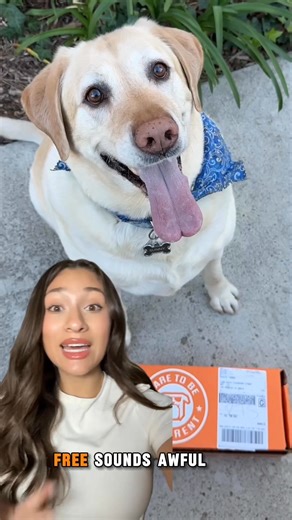 Your dog keeps destroying toys. You keep replacing them. Your wallet keeps crying. Here’s the fix: Tough toys, built for power chewers, delivered monthly. Try your first Bullymake Box for just $19. We guarantee: these toys last. ✅ Built for aggressive chewers ✅ Safe, fun, and seriously tough ✅ Only $19 to start - limited time only Stop wasting money. Start solving the problem. Your dog deserves better toys. You deserve better value. | BULLYMAKE