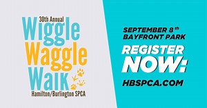 42K views | Hamilton/Burlington SPCA on Reels | Facebook