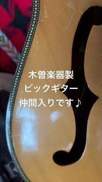 A Kiso Musical Instruments pick guitar has joined my collection♪ #looper #KisoMusicalInstruments ...