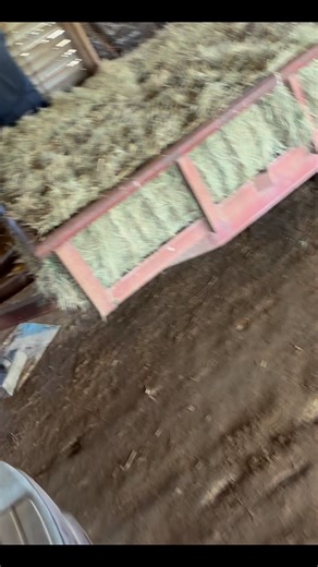 Square bale for the cows 🐄 | Simply Megz Arkansas USA