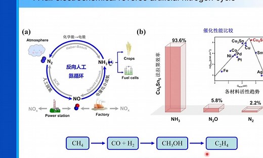 20231207-中国科学院肖建平-电催化合成氨和脱硝的理论设计_哔哩哔哩_bilibili