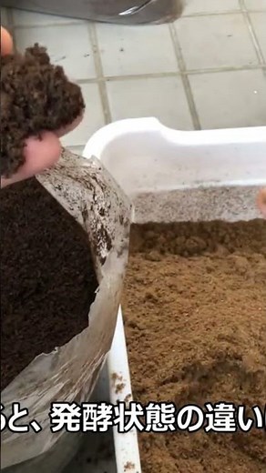 唯一神アンテマット