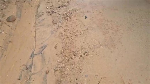 🚨 HUGE ARREST – UITKYK ROAD 🚨 ACSSPARTAN Security made a major arrest on Uitkyk Road after one of our dedicated response officers became aware that a gate motor had been stolen. The officer immediately gathered information and remained on high alert, actively on the lookout for any suspicious vehicles or individuals in the area. Shortly thereafter, the suspicious vehicle was spotted and safely pulled over. Three suspects fled the scene, but through swift action and determination, our officer s