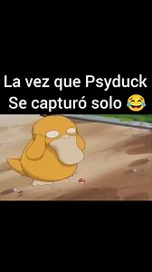 133K views · 6.6K reactions | Tranquila Misty no te enojes Psyduck será un gran Pokémon jajaja #pokemon #anime #videogames #reelsvideoシ | Trainer Red | Facebook