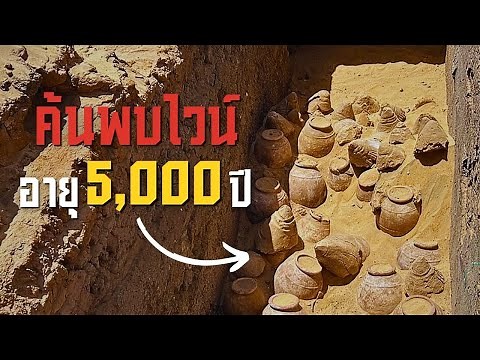 Understanding Ancient Humans with 6 Discoveries