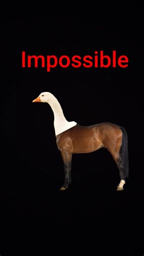 tep two stop slive biskistes #horse #trollface #driftphonk #shortpants #shortpants