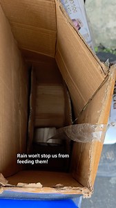 Even in the middle of the rain, we managed to feed them. #ebikefoodcartforstrays #StrayPawsFeederByHeart #straygatekeeperbyheart | Cherrie Lyn Arcio