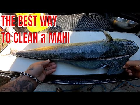 The FASTEST and EASIEST way to Clean a MAHI MAHI