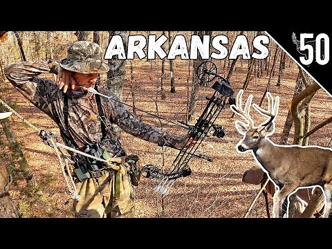 ARKANSAS DEER HUNTING!!! (Public Land with a BOW!)