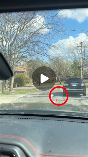 Random Sam | girl litters and gets what she deserves! #litter #payback | Instagram