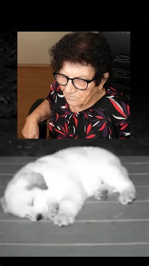 RADAL on Instagram: "Babushka is goated  #darkhumor #satire #radal #memes #babushka"