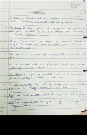 B.Sc(Biotechnology) zoology assignment 5th semester #aschelminthes#ascaris#ancylostoma#zoology#bsc☺️