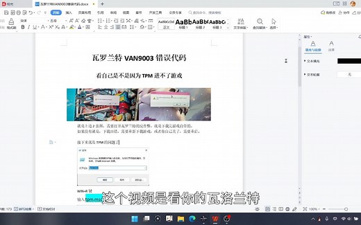 [瓦罗兰特]VAN9003错误代码