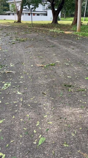 Damages after super typhoon “Uwan” #afterstorm #augusta2025 #thankyouLord | Janneth Mislang Capayas