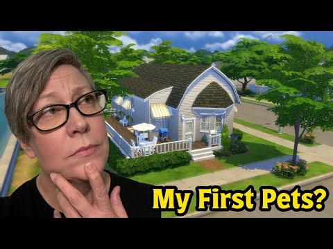 Can I build a house with My First Pets Stuff (+ base game)?!