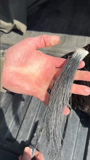 How to Clean a Turkey