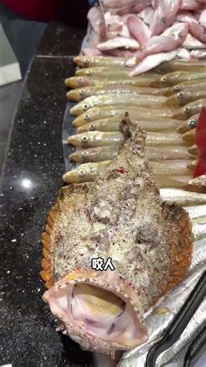 Is This Fish a Biter? Dive into the Mystery