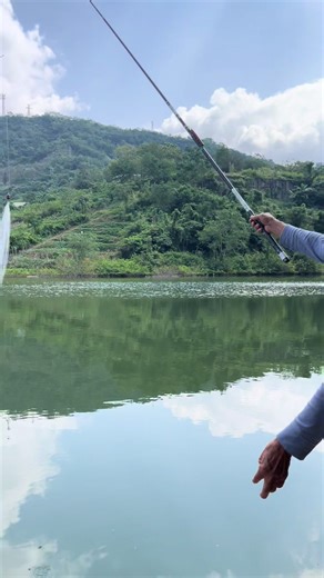 🎣Another day without fish 🐟 #fishing #fishinglife #fisher #lurefishing #lure