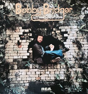 Bobby Bridger - And I Wanted To Sing For The People