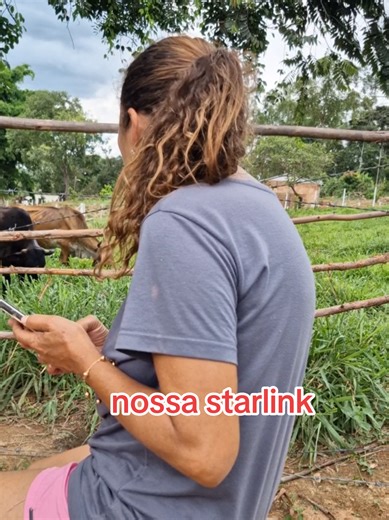 Internet rural. STARLINK