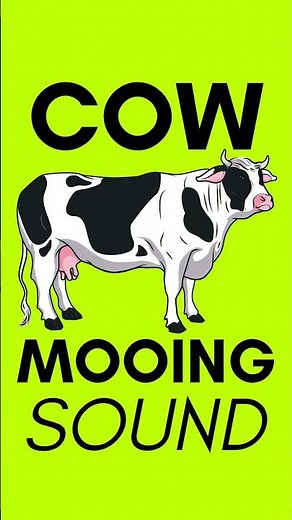 Cow Mooing Sound Effects