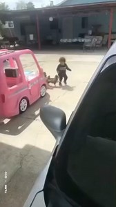 Feeling smothered by manual accounting processes? Break free from the pack with AP automation. http://social.ora.cl/6182y6qmI #Accounting #AccountsPayable (Credit: briancito14) | Oracle NetSuite