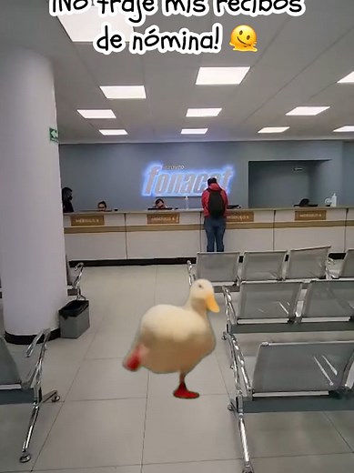 ¡Que no te pase! 🦆💨 Para tu Crédito Fonacot, lleva: ✅ Identificación oficial 🪪 ✅ Comprobante de domicilio 🏠 ✅ Cuenta bancaria con CLABE 💳 ✅ Últimos 4 recibos de nómina 📄📄📄📄 ¡Evita contratiempos y tramita fácil! 😉 #Fonacot #CréditoFonacot #fyp #viraltiktok #parati