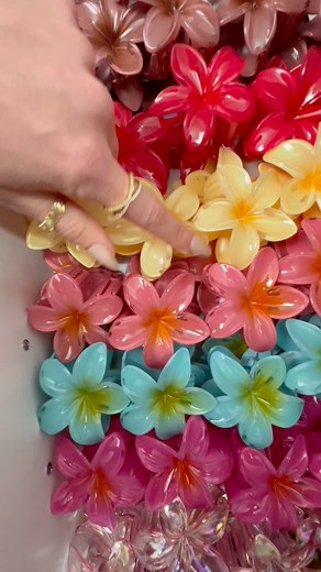 🌹 Red - Warm Scarlet Bookish Bundle❣️ Warm, bright, powerful - your bold scarlet moment is here.Which color should I drop next? ❤️✨ #viral #smallbusiness #bookishbundle | Solara & Bundles