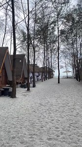 The Coastal Pine Sanctuary: Zabin Pines Resort Feel the distinct atmosphere at Zabin Pines Beach Resort, where the dense evergreen canopy creates a natural cooling system even on the hottest tropical days. Whether you're lounging in a hammock or setting up camp, the sound of the sea breeze whistling through the needles offers a soundtrack you won't find at any other beach. ✨⛺ ​ ​📍 Zabin Pines Resort, Brgy. Santo Niño (Liwliwa), San Felipe, Zambales, Philippines 🇵🇭 PHILPAR (Philippines Paradis