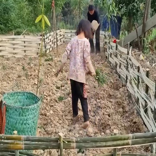 Sister life | Blue Life