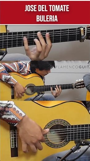 JOSÉ DEL TOMATE 🤯 : La Bulería d'un Géant Futur (Main Gauche vs Main Droite)