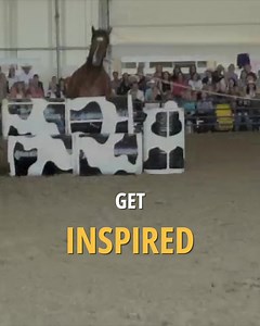 💡 Did you know: That Magic’s Mirror will be at the Horse Psychology Summit? Mirror is a clone of Pat's famous 30-year-old horse, Magic ✨ ➡️ Get inspired by Pat & his team, join us online! See you at The Horse Psychology Summit 2024 March 1 & 2 🐴 🌍 Get your tickets here: https://shopus.parelli.com/.../the-horse-psychology... | Parelli Natural Horsemanship
