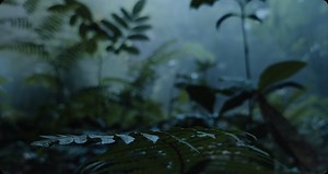 Xiaomi 11T - Xiaomi Greece