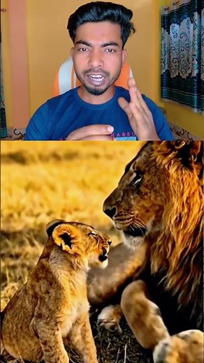 Never Ignore Anyone 🦁 | Lion Motivational Video | Powerful Life Quotes
