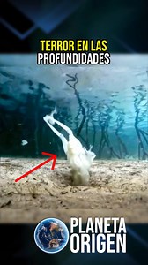 Terror bajo el agua #video #reelsviralシ #parati #viralvideo #Naturaleza #curiosidades #Dios | Planeta Origen