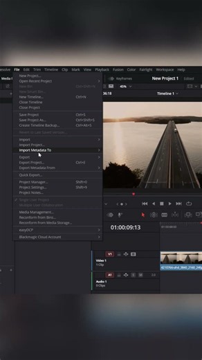 DaVinci Resolve: Save Any Frame as an Image (Best Method)
