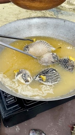 8.6K views · 22 reactions | Steamed porcupine fish  #fblifestyle | Espinosa Arlene | Facebook