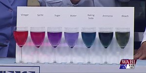 Science with Dr. Bob: Cabbage as a pH Indicator