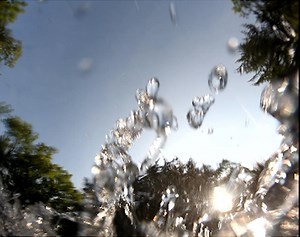 Gathering Light and Forest Festivals: HDS Celebrates Earth Day | Religion and Public Life