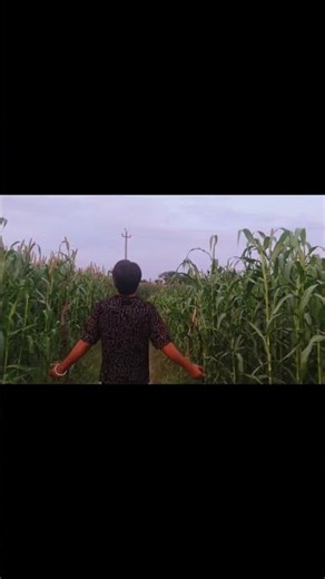 DAY 9 Random Walk Challenge (Complete)