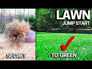 Easy Fix for your Lawn in Spring - Dethatching