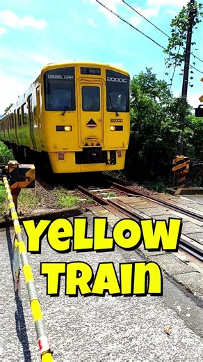✨🌼 Yellow Train【なのはな号】Atago Railroad Crossing Passage｜愛宕踏切通過 #shorts