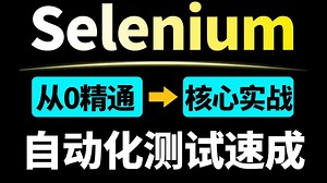 从零精通Selenium自动化测试，底层原理到核心实战2小时速成，一套通关