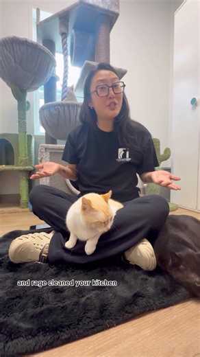 5.4K views · 260 reactions | Does your cat scratch the furniture ‘just to be a jerk’? ️ Spoiler: it’s not spite—it’s instinct. Here’s why they’re clawing your couch and what to do instead! #CatBehavior #CatMyths #thecatterycc #CatFacts #facebookcats | The Cattery Cat Shelter | Facebook