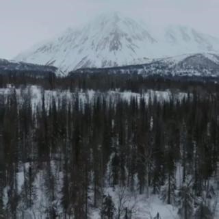 Get ready for goosebumps as the Insider team recaps the first 150 miles of this year's race. If you're an Insider, you've hopefully experienced all the feels when watching the Run Dog Run videos. If you're not yet an Insider, keep your eyes peeled for Monday as we will be launching a video-only package so you can live in these incredible moments of the 2024 Iditarod. But for now, enjoy these incredible canine athletes doing what they love🐾 | The Iditarod