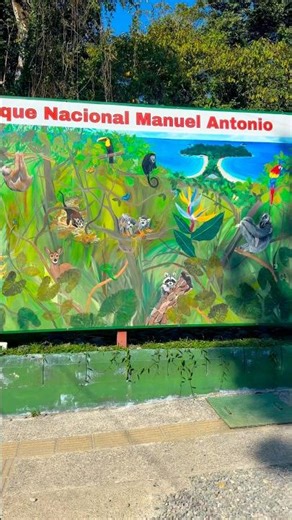 코스타리카 마누엘 안토니오 🌴🐍🦥🐒 | Manuel Antonio, Costa Rica
