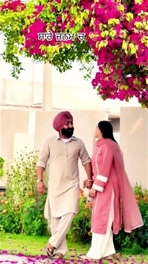 💝😍 We will meet in all births 💝😍🤩Couple loves 💝😍🤩#song #shorts