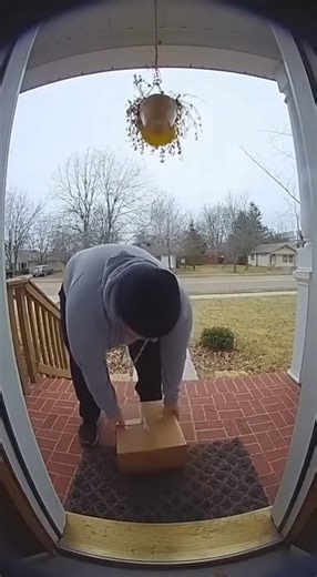 57K views · 1.1K reactions | Free paint with every theft attempt! | Jessica | Facebook