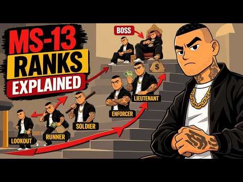 Your Life Through Every MS-13 Rank (No Way Out)