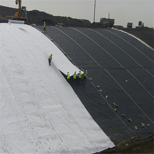 [Hot Item] Geotextile Filter Cloth Stabilization Fabric for Reinforcement Project in America